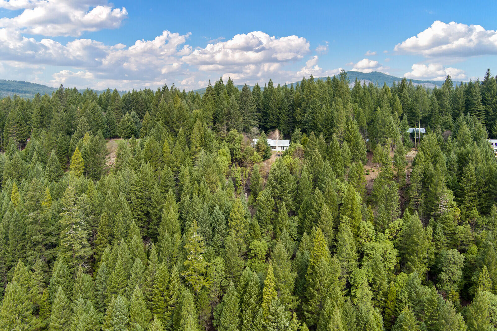 1863 Mill Creek Drive Prospect, OR 97536 - Photo 52 of 53 1863MillCrkDr (16)