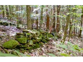 0 Putney Mountain Road Brookline, VT 05345 - Photo 1 of 1