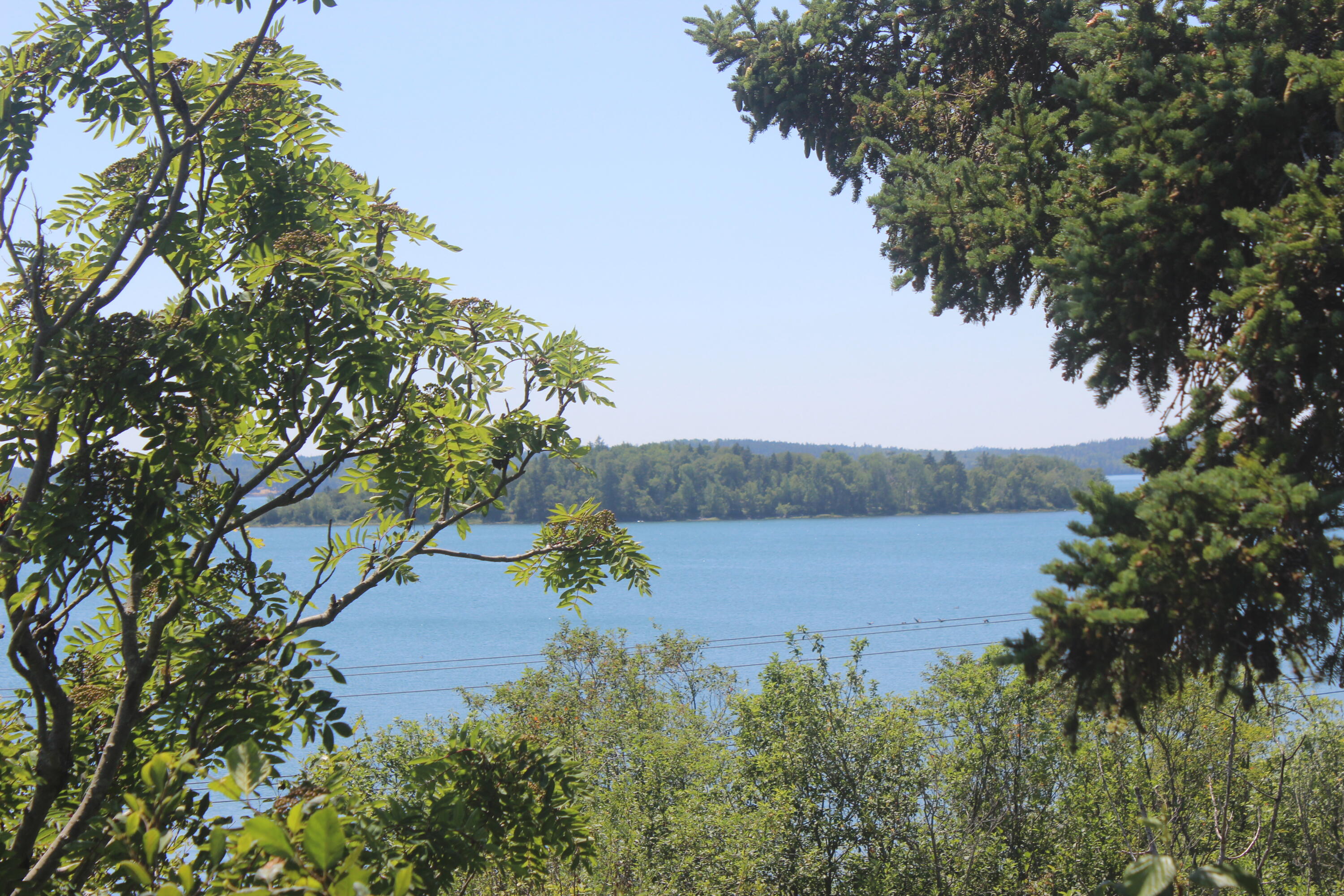 187 County Road Eastport, ME 04631 - Photo 13 of 18 IMG_4153