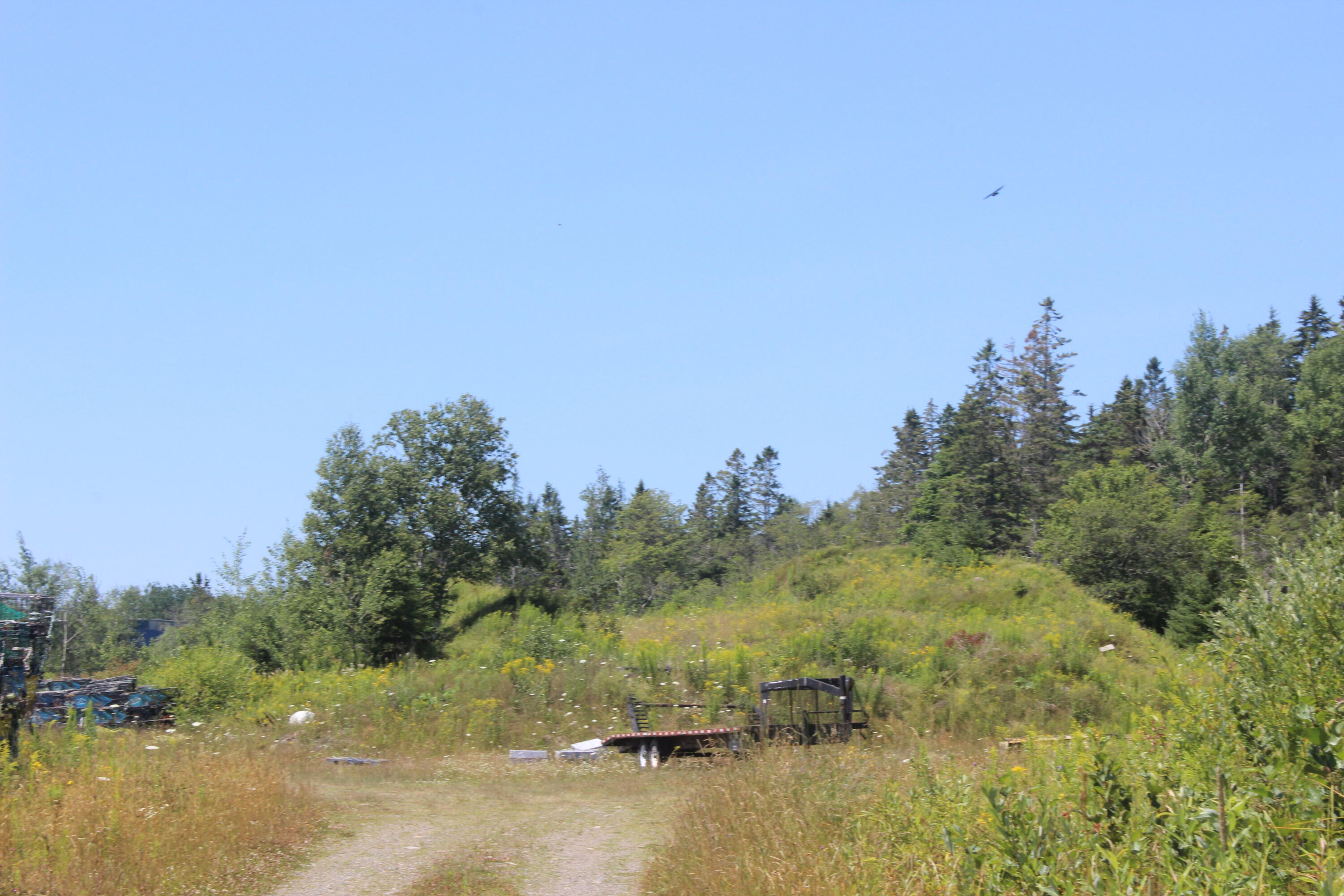 187 County Road Eastport, ME 04631 - Photo 9 of 18 IMG_4148