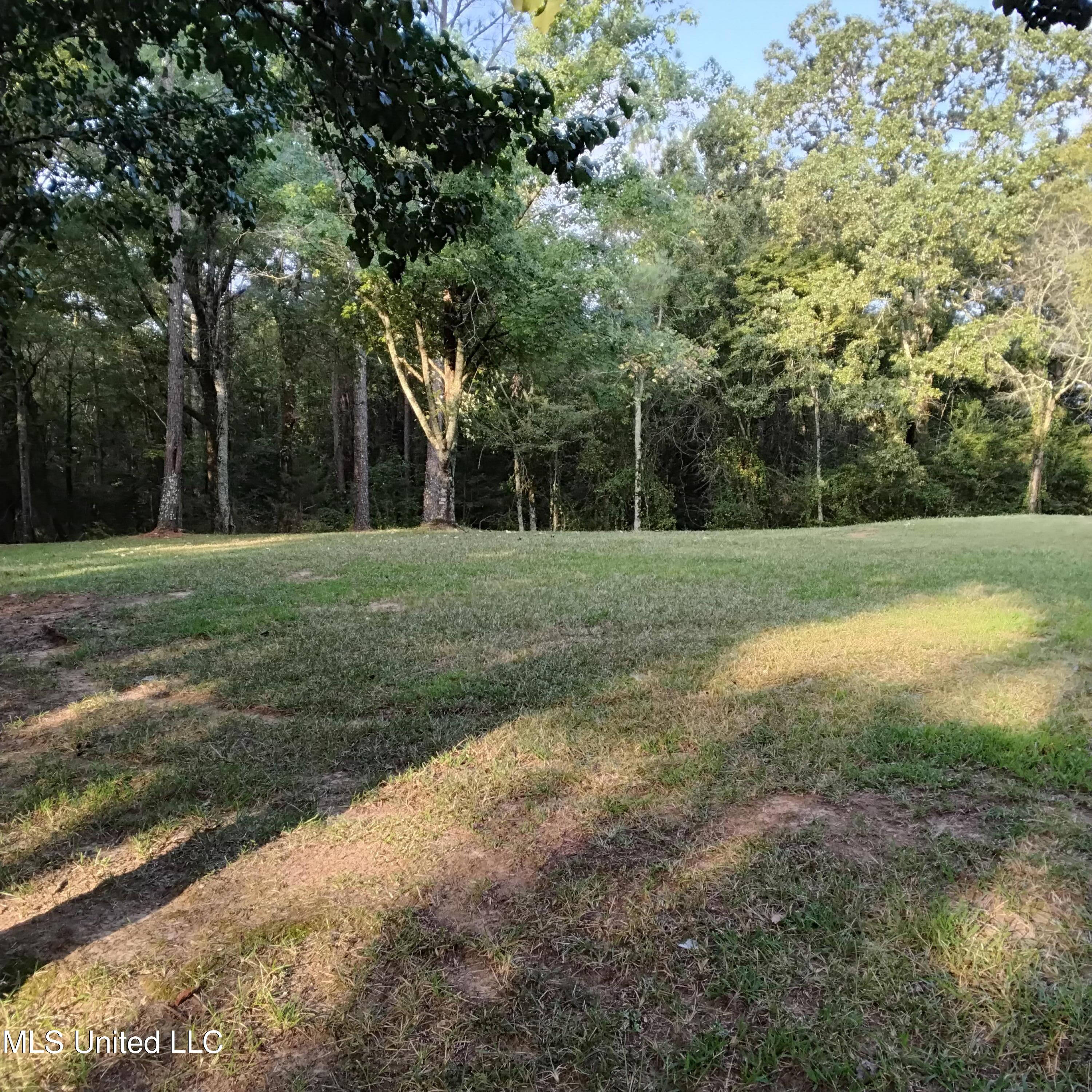 235 Bethel Road Kosciusko, MS 39090 - Photo 4 of 24 1000017982