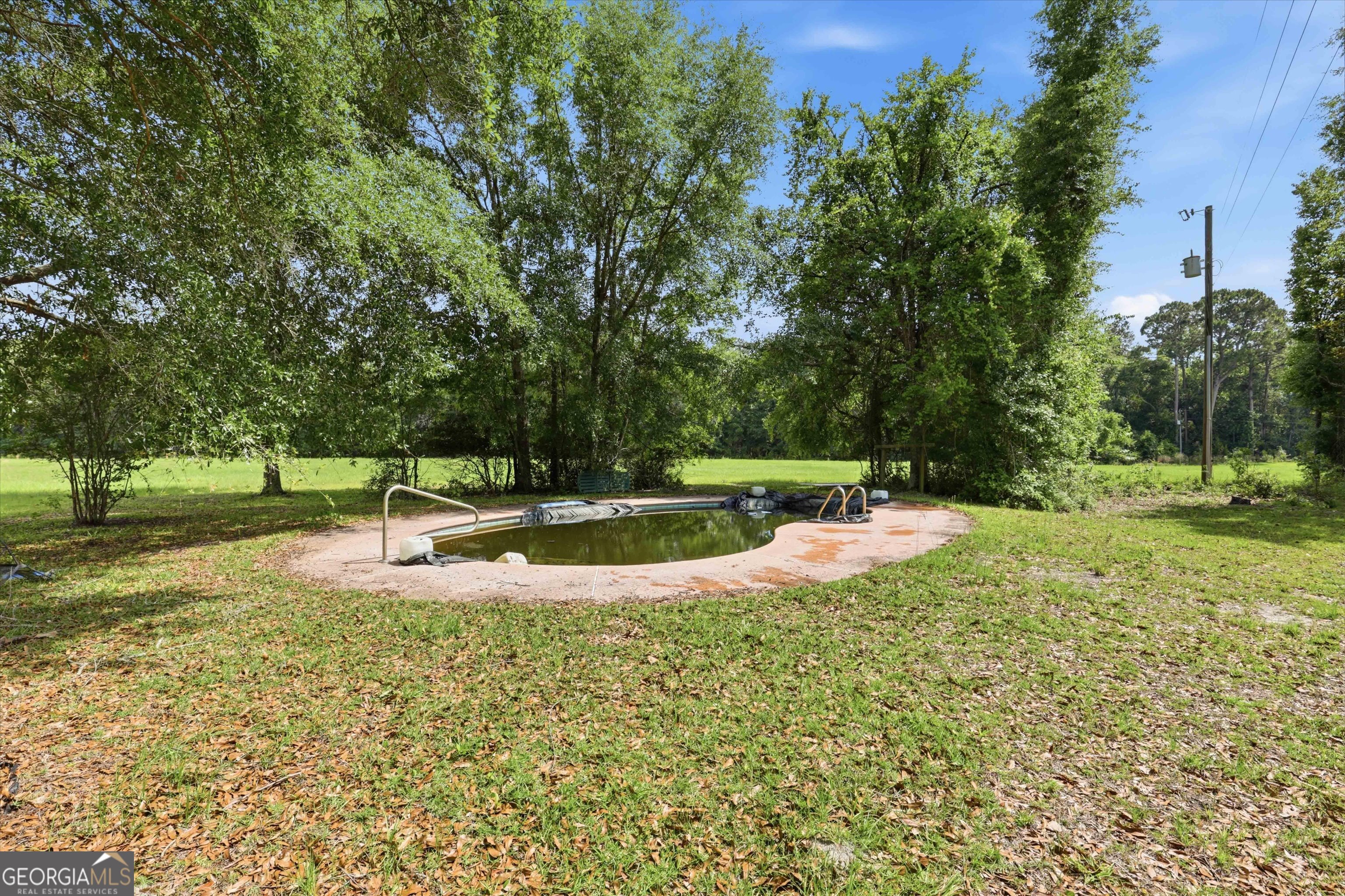 1525 Myron Hart Road Coolidge, GA 31738 - Photo 43 of 58 a view of a swimming pool with a yard