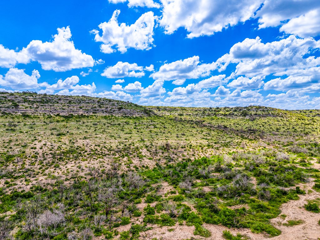 935 Ranch House Road Ozona, TX 76943 - Photo 4 of 53 Photo 4