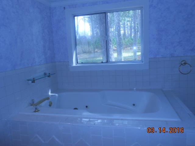 7330 Southern Road Fairview, TN 37062 - Photo 3 of 12 large jacuzzi tub sits under window