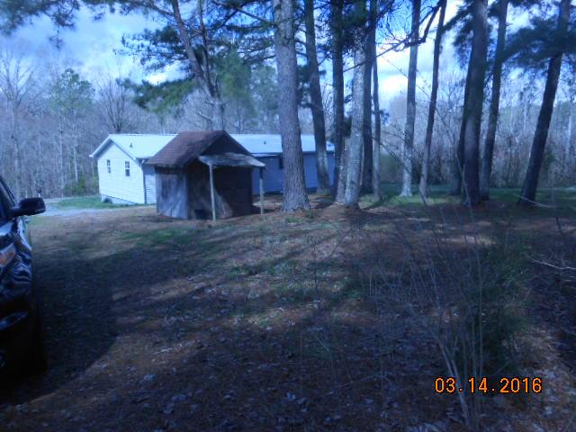 7330 Southern Road Fairview, TN 37062 - Photo 8 of 12 back yard ,storage building, plenty of trees
