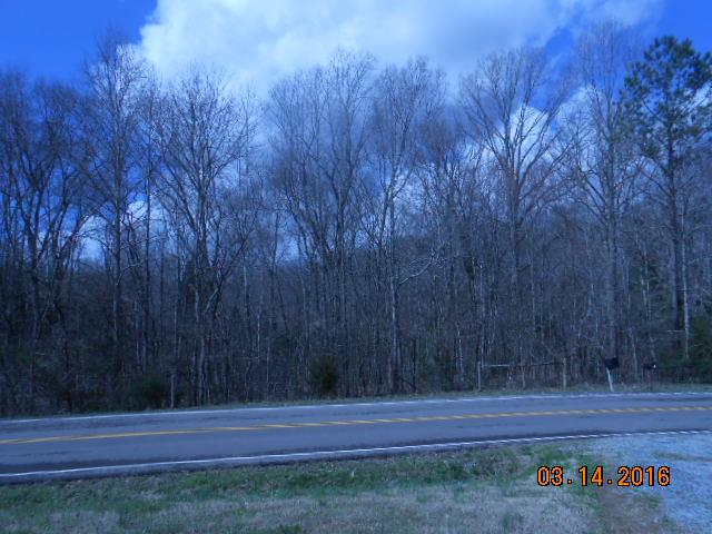 7330 Southern Road Fairview, TN 37062 - Photo 9 of 12 across rd is all woods, Property is very private.