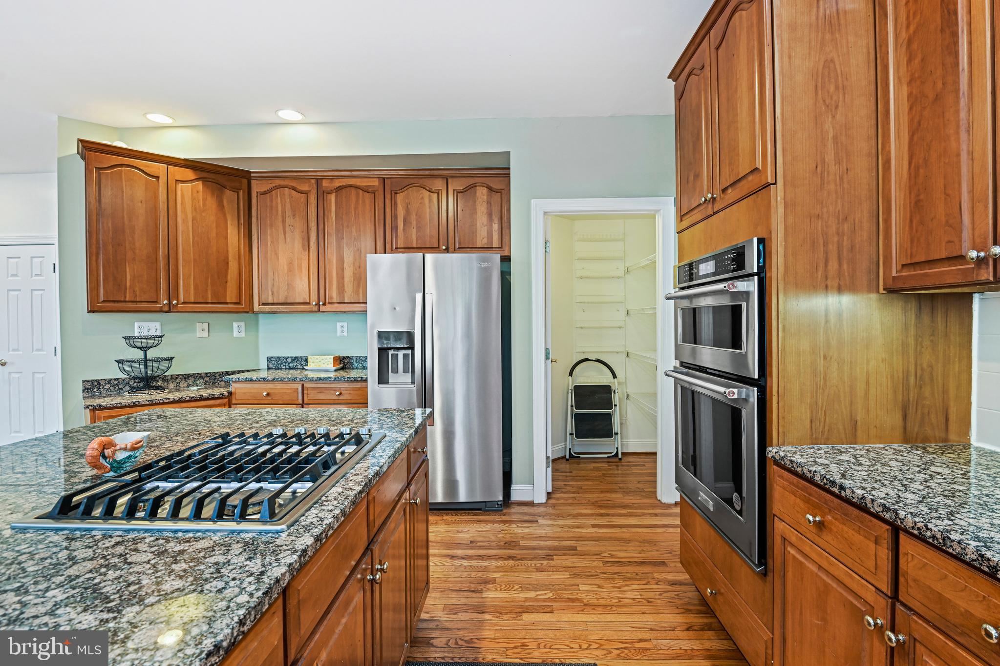 10509 Dunn Meadow Road Vienna, VA 22182 - Photo 18 of 81 a kitchen with refrigerator and cabinets