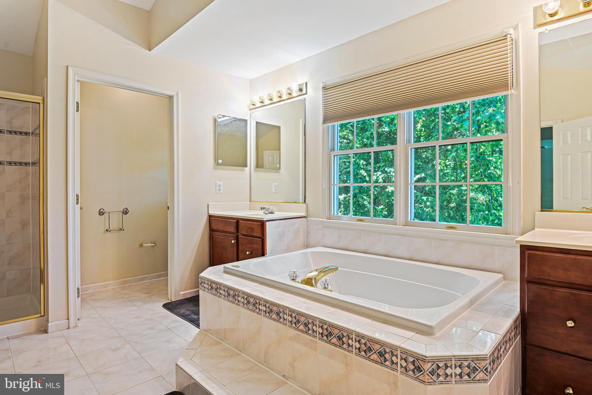 10509 Dunn Meadow Road Vienna, VA 22182 - Photo 31 of 81 a bath tub sitting in a bathroom next to a window