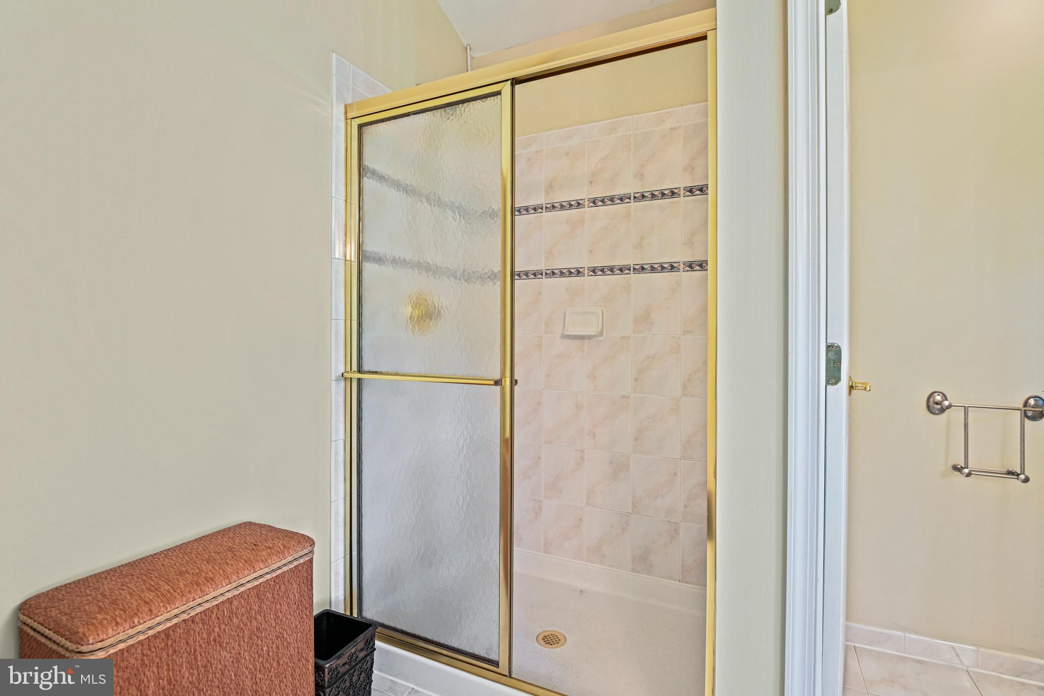 10509 Dunn Meadow Road Vienna, VA 22182 - Photo 32 of 81 a bathroom with a glass shower door