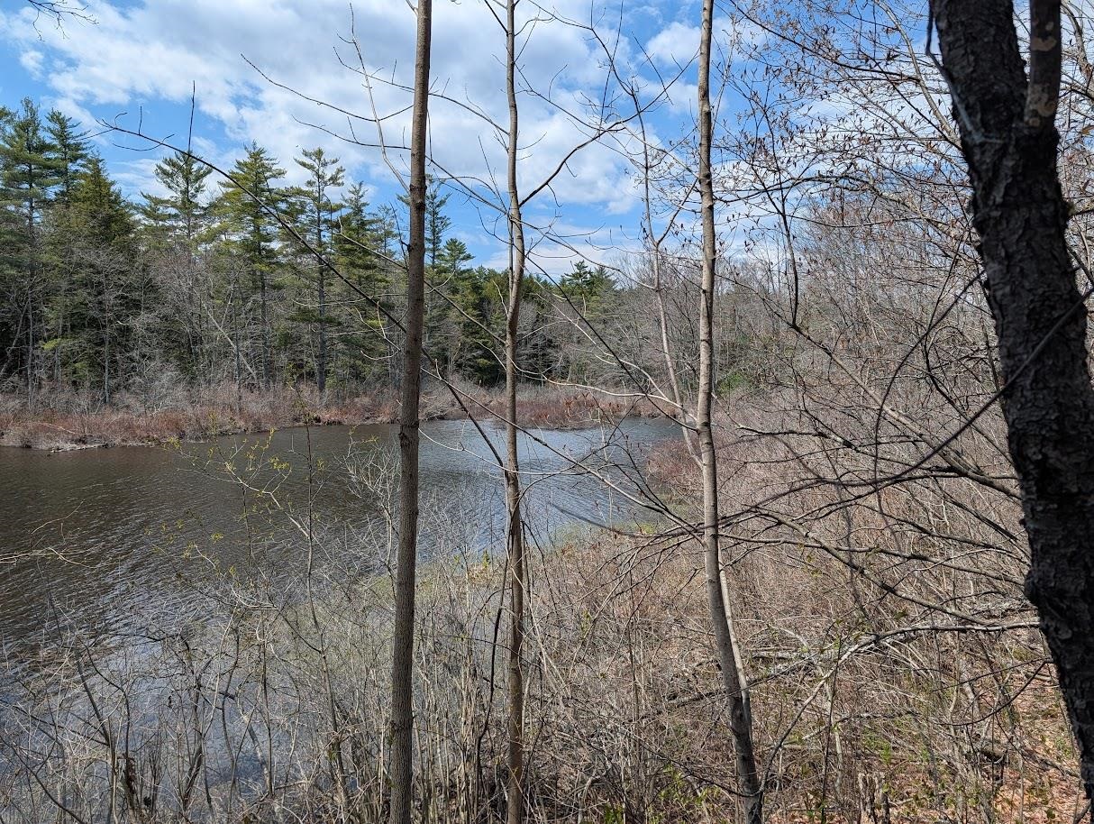 252 Merrymeeting Road New Durham, NH 03855 - Photo 34 of 36