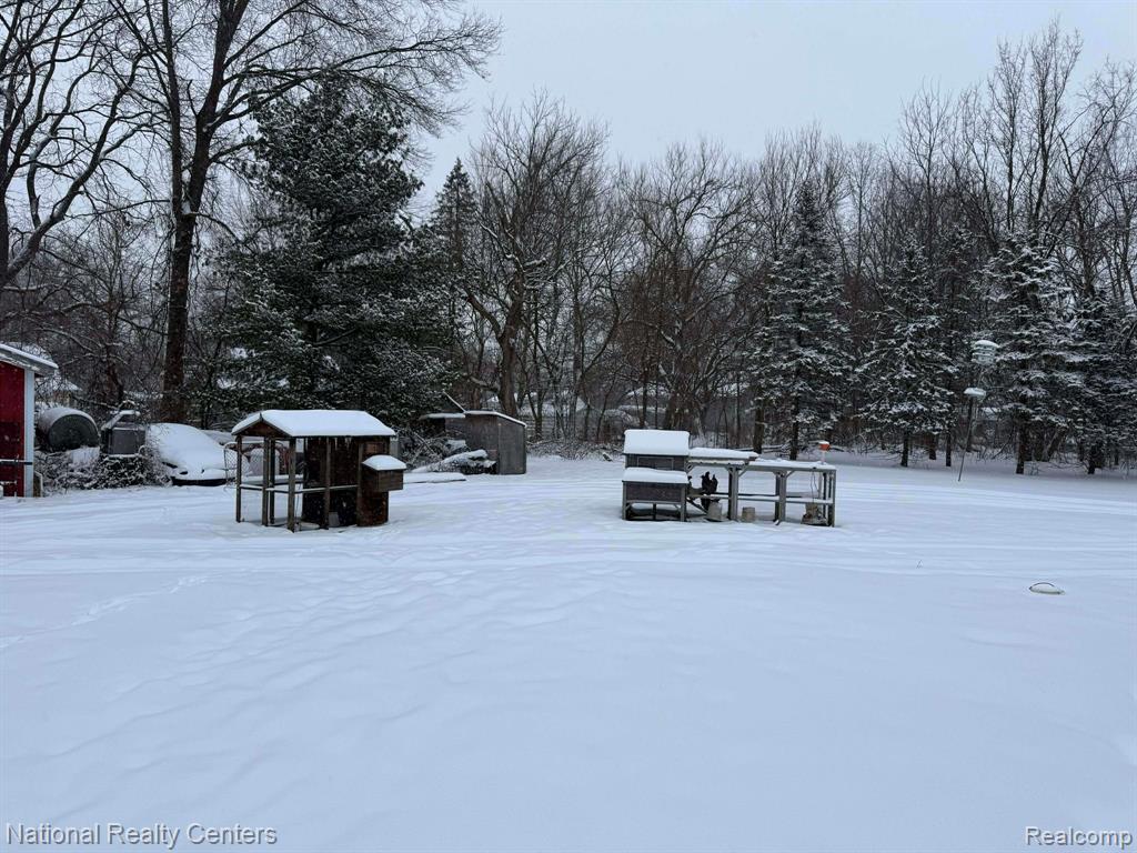 27125 Delos Road New Boston, MI 48164 - Photo 14 of 45 Gallery Image 14