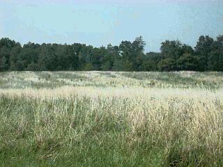 2 Brownsville Road Cassopolis, MI 49031 - Photo 1 of 1 Primary Photo