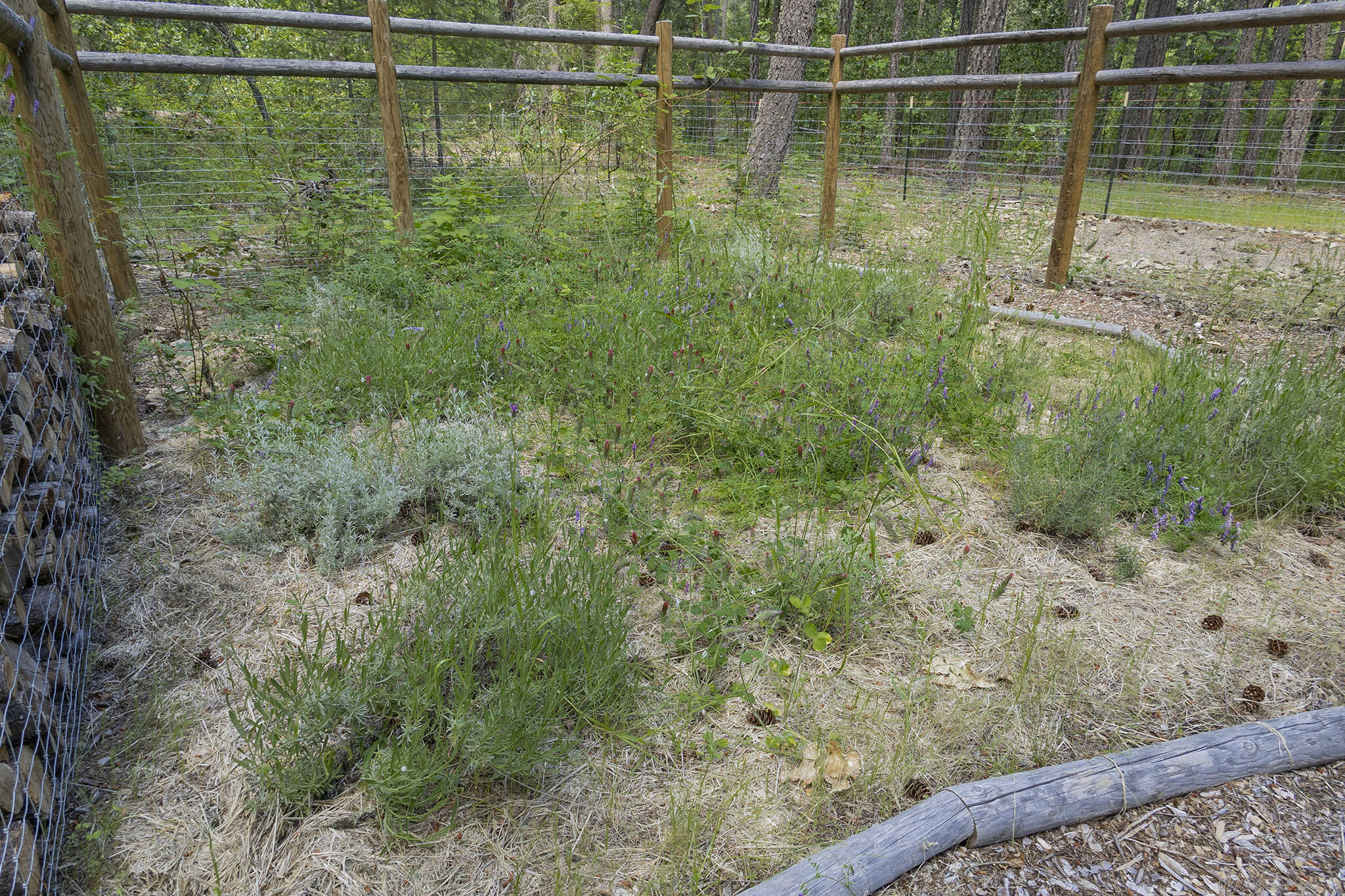 401 China Creek Road Williams, OR 97544 - Photo 19 of 61 19