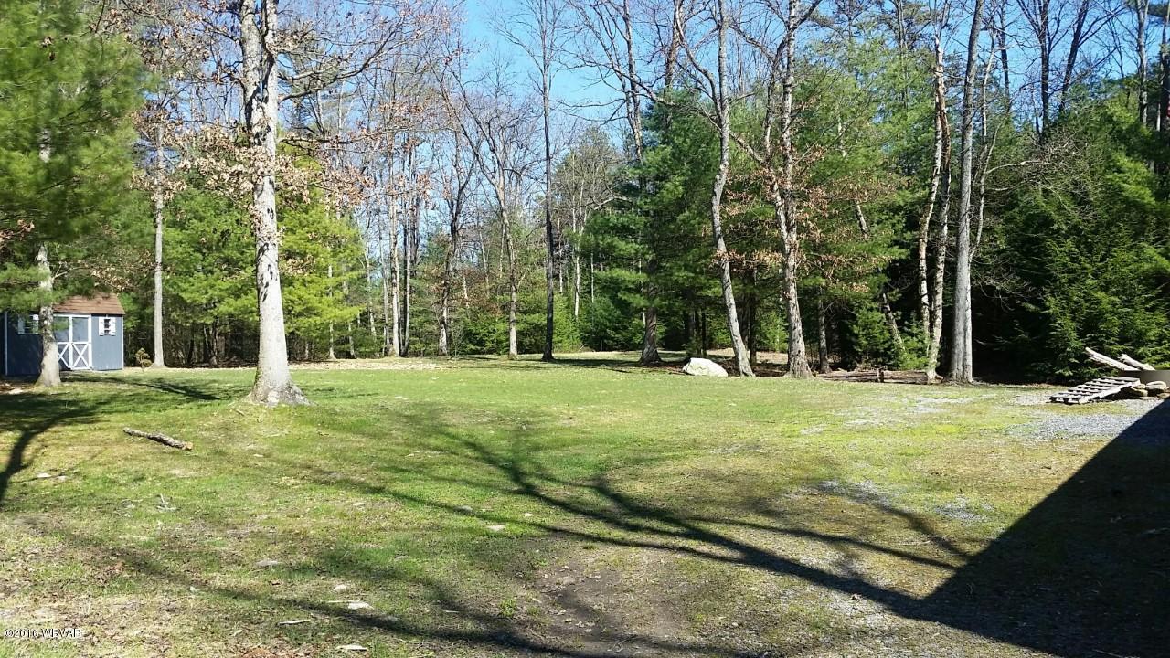1464 Mill Branch Road Mill Hall, PA 17751 - Photo 27 of 28 yard