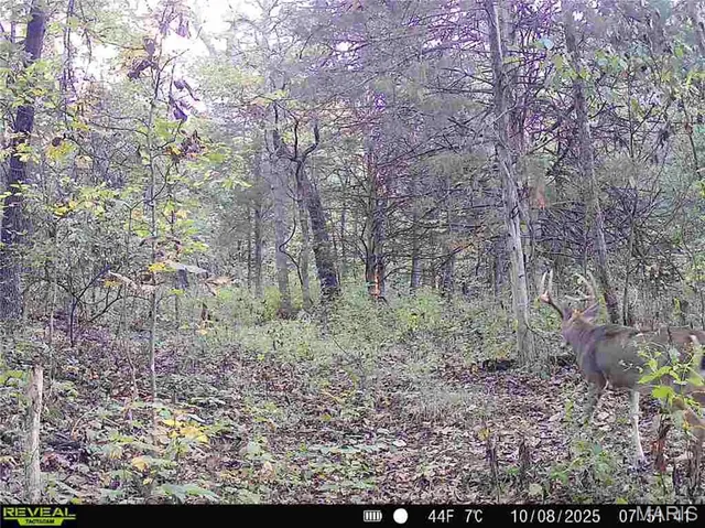 $1 | 0 County Road 132, Bowling Green, MO 63334