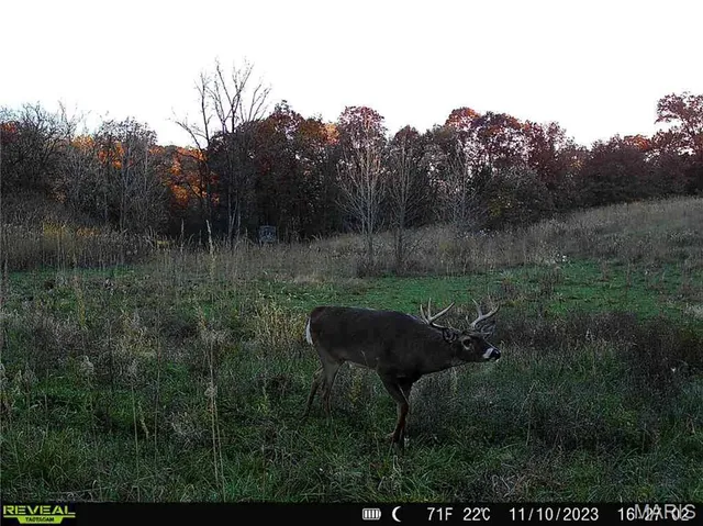 $1 | 0 County Road 132, Bowling Green, MO 63334