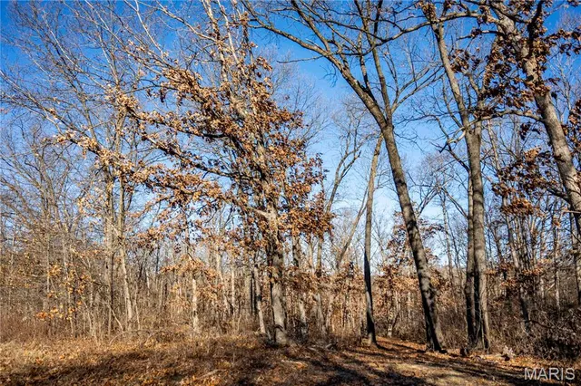 $1 | 0 County Road 132, Bowling Green, MO 63334