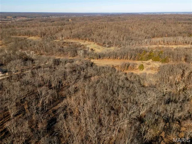 $1 | 0 County Road 132, Bowling Green, MO 63334