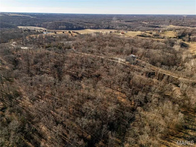 $1 | 0 County Road 132, Bowling Green, MO 63334