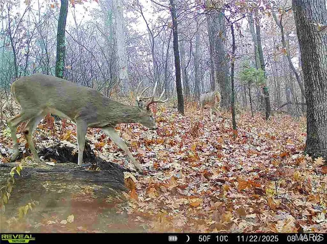 $1 | 0 County Road 132, Bowling Green, MO 63334