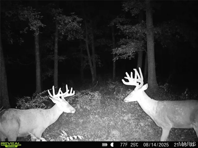 $1 | 0 County Road 132, Bowling Green, MO 63334