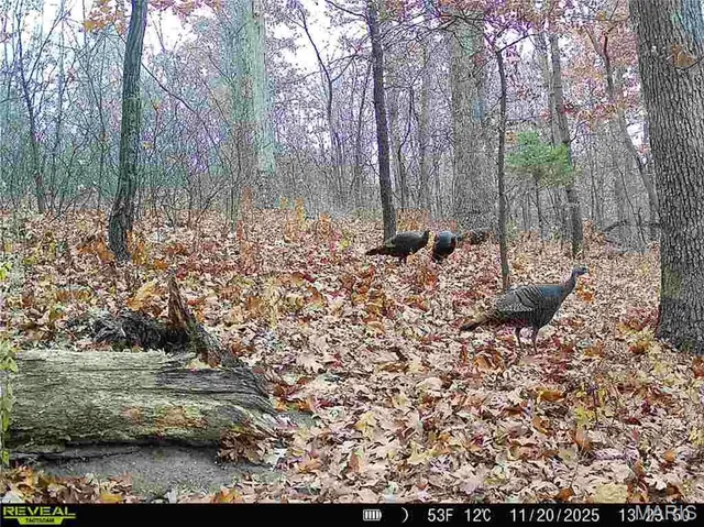 $1 | 0 County Road 132, Bowling Green, MO 63334