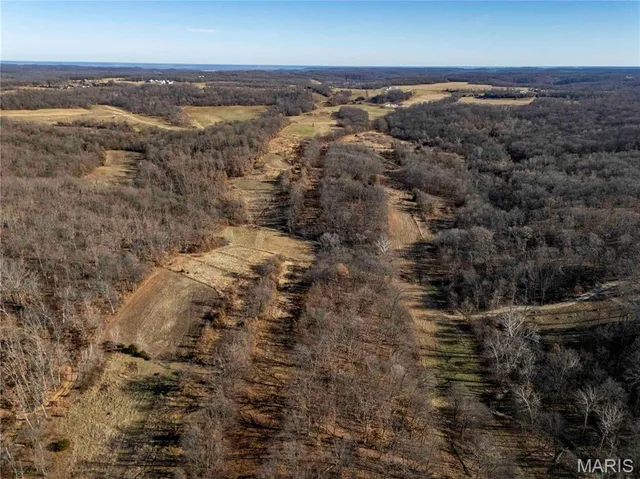 $1 | 0 County Road 132, Bowling Green, MO 63334