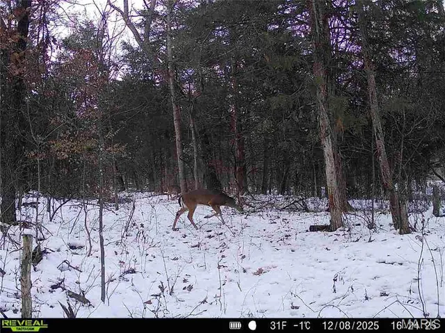 $1 | 0 County Road 132, Bowling Green, MO 63334