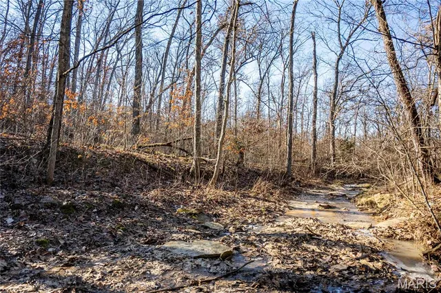 $1 | 0 County Road 132, Bowling Green, MO 63334