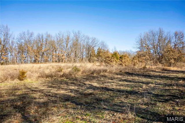 $1 | 0 County Road 132, Bowling Green, MO 63334
