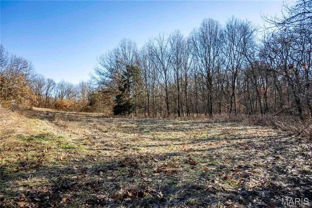 $1 | 0 County Road 132, Bowling Green, MO 63334