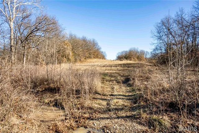 $1 | 0 County Road 132, Bowling Green, MO 63334