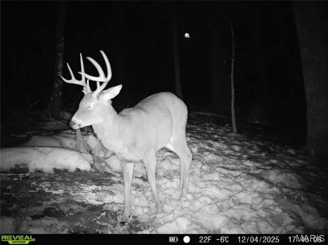 $1 | 0 County Road 132, Bowling Green, MO 63334