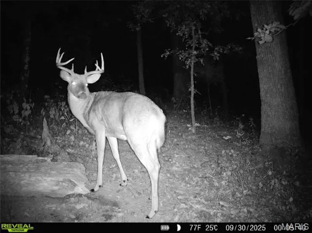 $1 | 0 County Road 132, Bowling Green, MO 63334