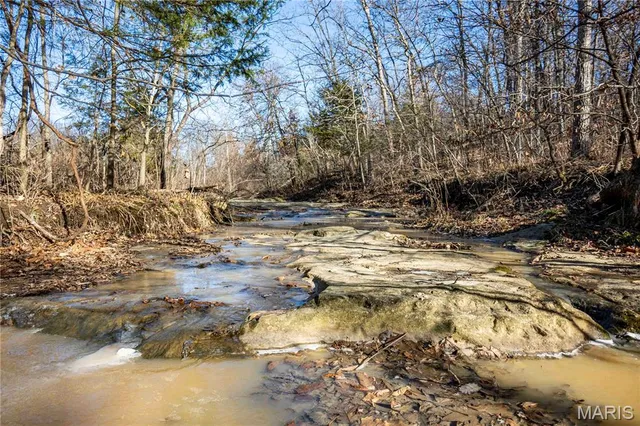 $1 | 0 County Road 132, Bowling Green, MO 63334