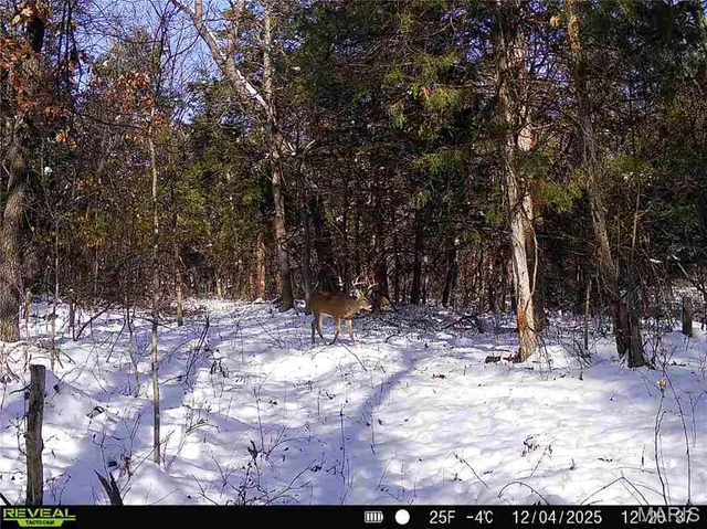 $1 | 0 County Road 132, Bowling Green, MO 63334