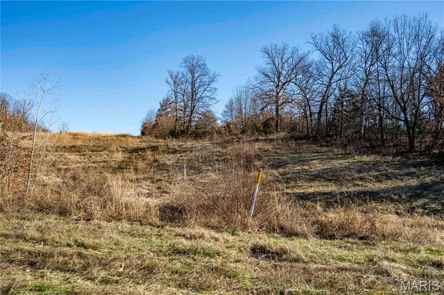 $1 | 0 County Road 132, Bowling Green, MO 63334