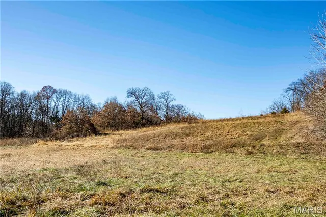 $1 | 0 County Road 132, Bowling Green, MO 63334