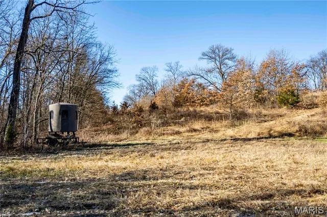 $1 | 0 County Road 132, Bowling Green, MO 63334
