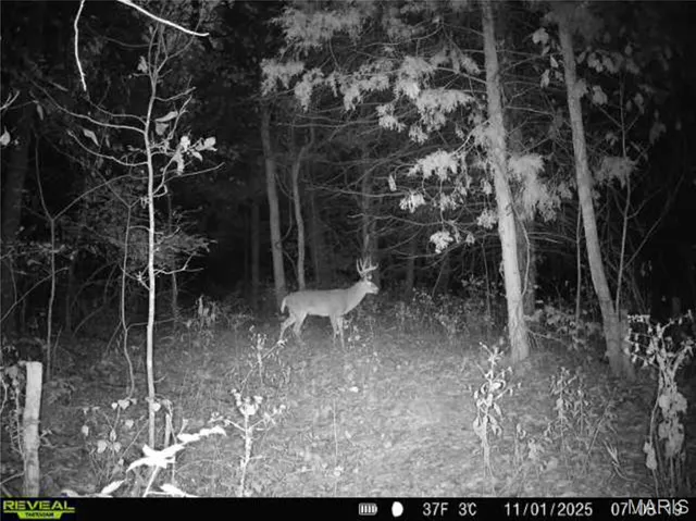 $1 | 0 County Road 132, Bowling Green, MO 63334