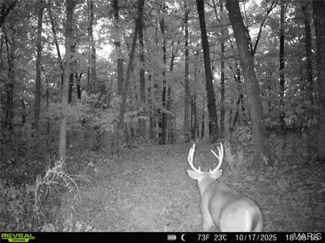 $1 | 0 County Road 132, Bowling Green, MO 63334