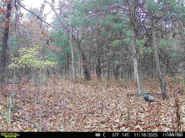 $1 | 0 County Road 132, Bowling Green, MO 63334