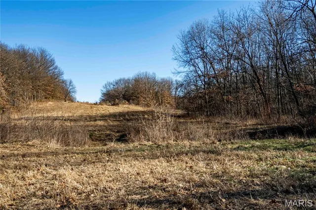 $1 | 0 County Road 132, Bowling Green, MO 63334