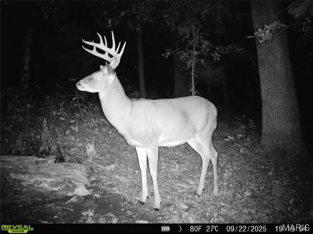 $1 | 0 County Road 132, Bowling Green, MO 63334