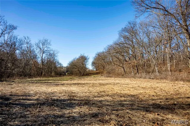 $1 | 0 County Road 132, Bowling Green, MO 63334