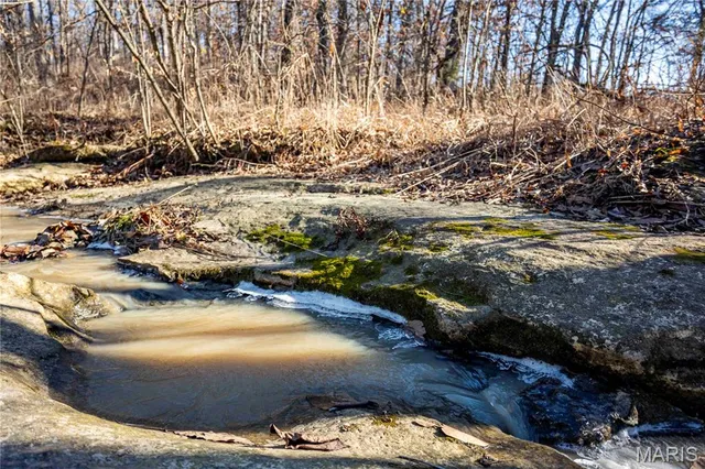 $1 | 0 County Road 132, Bowling Green, MO 63334