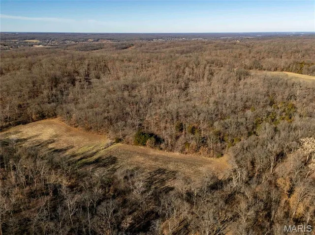 $1 | 0 County Road 132, Bowling Green, MO 63334