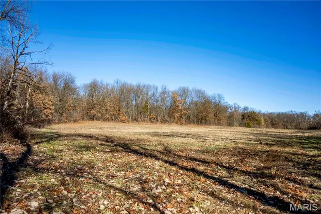 $1 | 0 County Road 132, Bowling Green, MO 63334