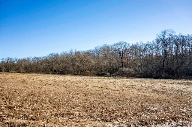 $1 | 0 County Road 132, Bowling Green, MO 63334