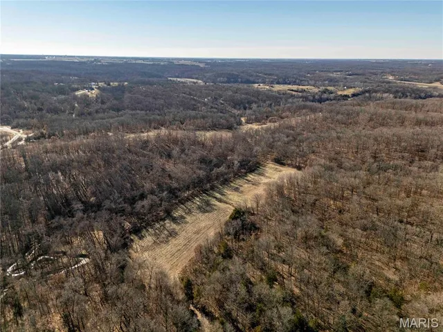 $1 | 0 County Road 132, Bowling Green, MO 63334